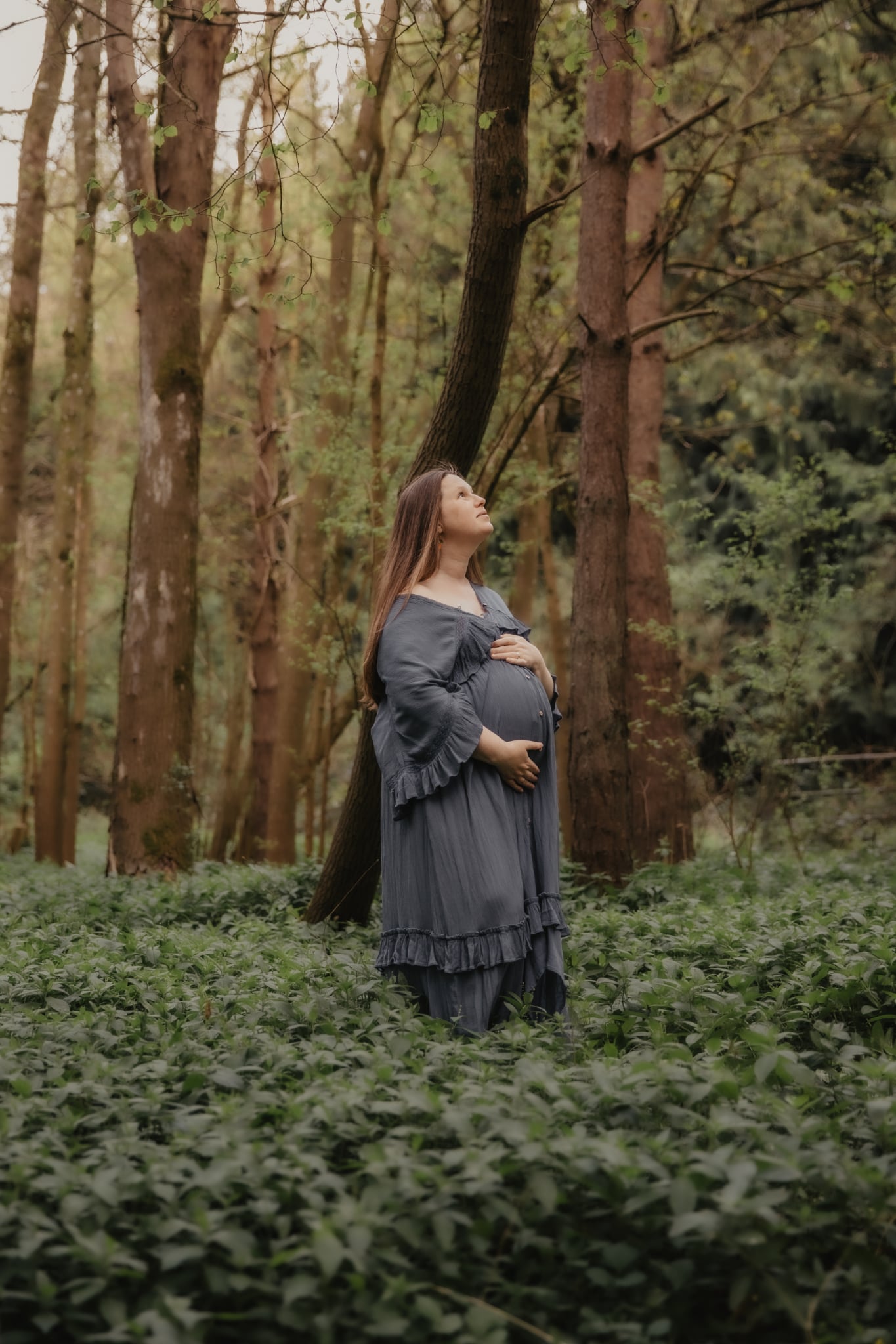 968535F0 719B 4B39 957F De9091c7fc52 