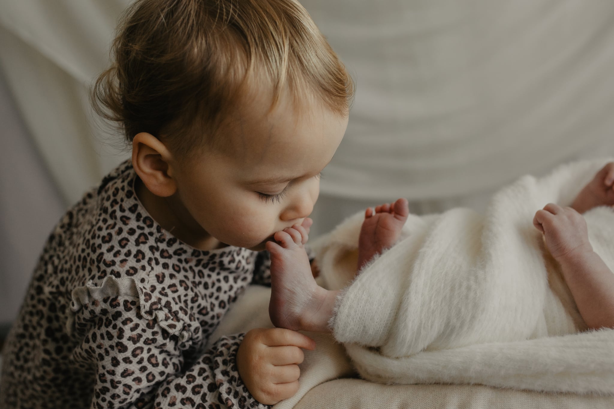 Dd7b2762 7D1f 4375 8De6 4A0bf2442446 