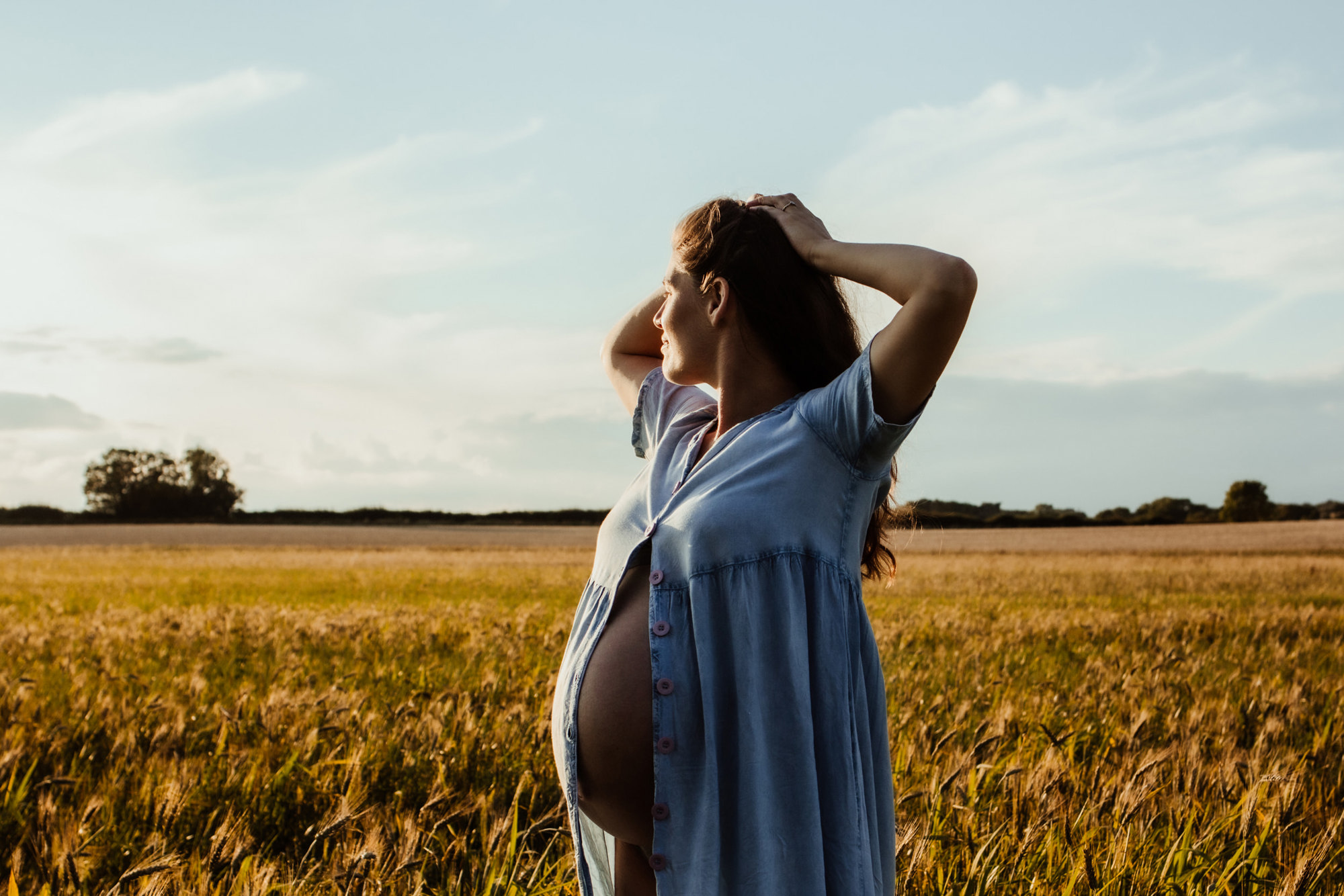 Pregnant woman in wheat field at sunset blurred overlay
