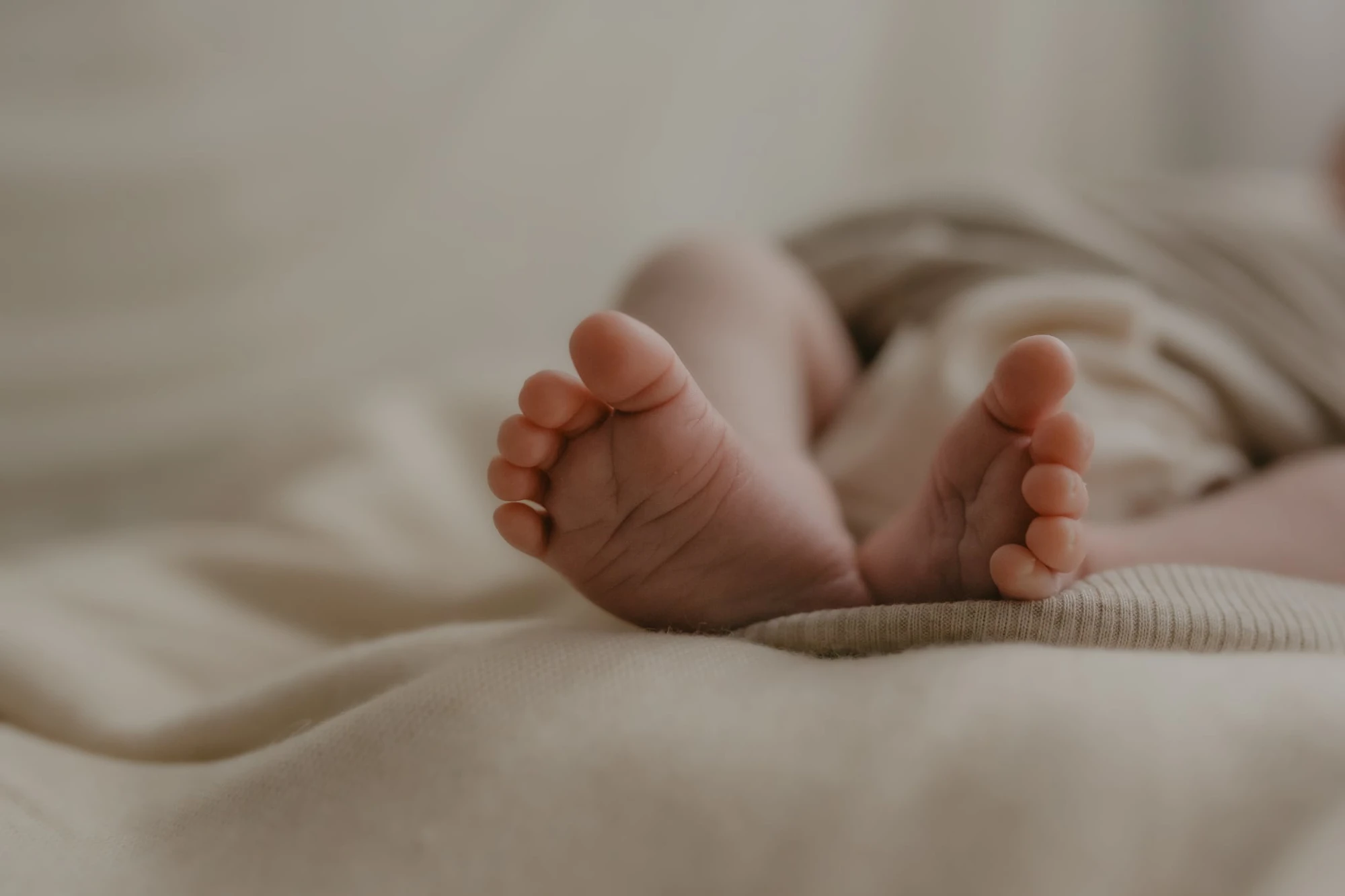 Bc43fd64 4Ead 4606 8D70 764836Ee67c9